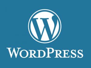 CMS  Wordpress (Вордпрес)